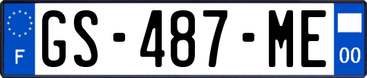 GS-487-ME
