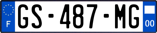 GS-487-MG