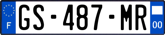 GS-487-MR