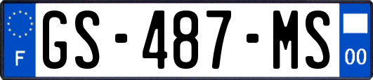 GS-487-MS