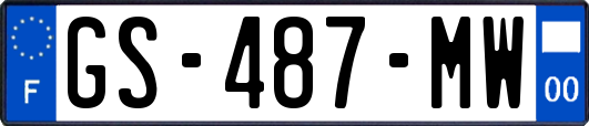 GS-487-MW