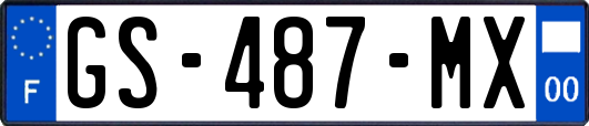 GS-487-MX