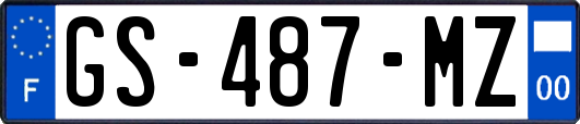 GS-487-MZ