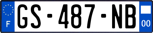 GS-487-NB