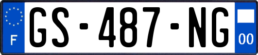GS-487-NG