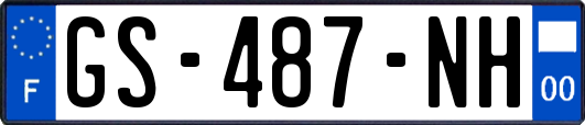 GS-487-NH