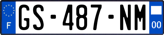 GS-487-NM