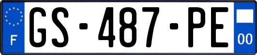 GS-487-PE