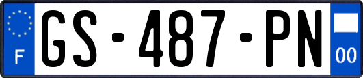 GS-487-PN