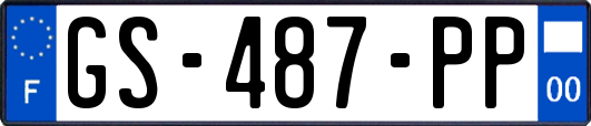 GS-487-PP