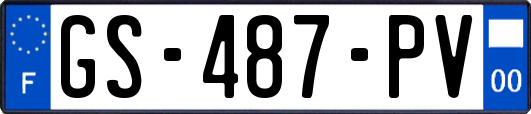 GS-487-PV