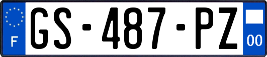 GS-487-PZ