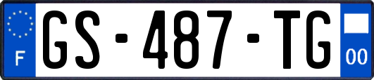GS-487-TG