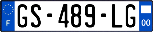 GS-489-LG