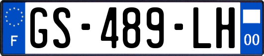 GS-489-LH