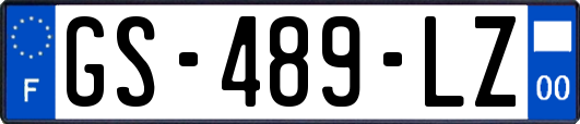 GS-489-LZ