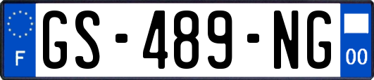 GS-489-NG