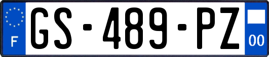 GS-489-PZ