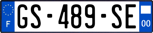 GS-489-SE