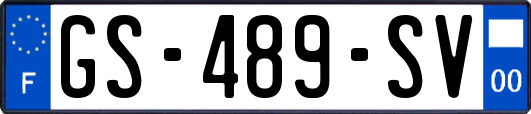 GS-489-SV