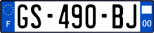 GS-490-BJ