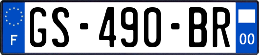 GS-490-BR