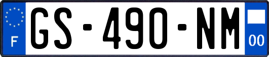 GS-490-NM