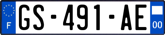 GS-491-AE