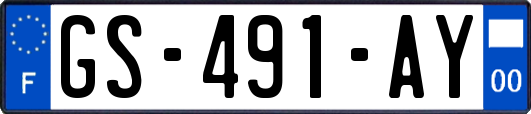 GS-491-AY