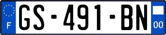 GS-491-BN