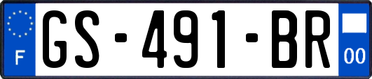 GS-491-BR