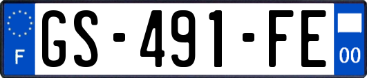 GS-491-FE