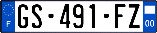 GS-491-FZ