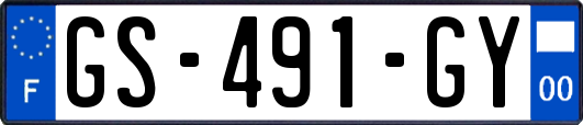 GS-491-GY