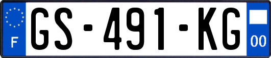 GS-491-KG