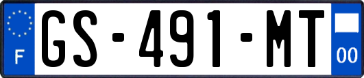 GS-491-MT