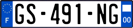 GS-491-NG