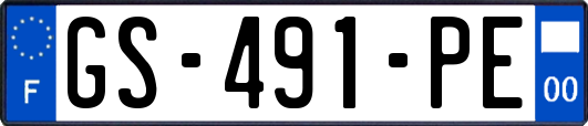 GS-491-PE