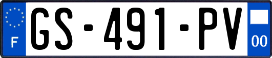 GS-491-PV