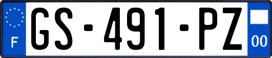 GS-491-PZ