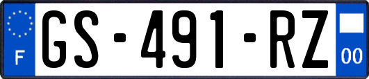 GS-491-RZ