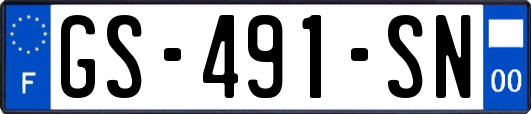 GS-491-SN