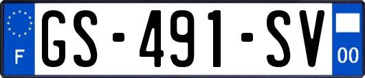 GS-491-SV