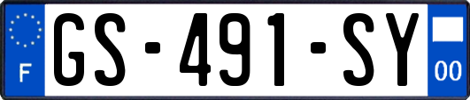 GS-491-SY