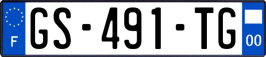 GS-491-TG