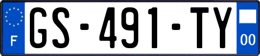 GS-491-TY