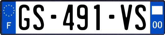 GS-491-VS