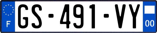 GS-491-VY