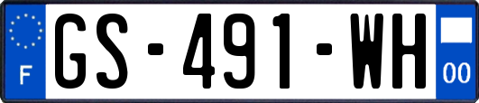 GS-491-WH