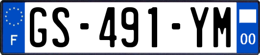 GS-491-YM
